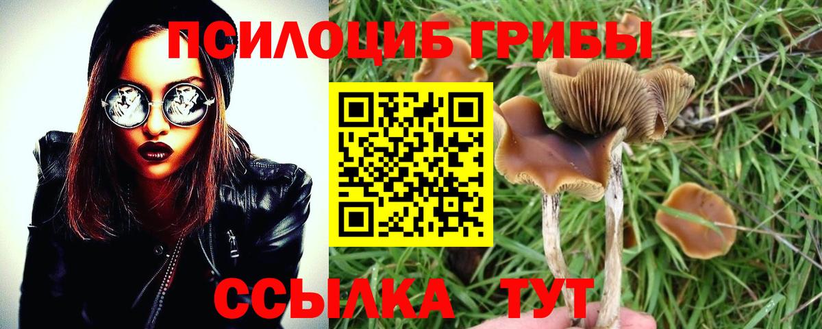 А ПВП СОЛЬ   Лсд 25  COCAIN  Вязьма  ЭКСТАЗИ  Меф МЯУ МЯУ  Меф МЯУ МЯУ   ГАШИШ  Вход с VPN 