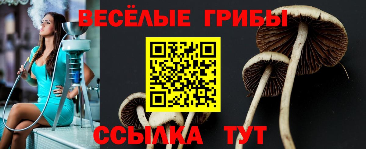 Псилоцибиновые грибы MAGIC MUSHROOMS  Псилоцибиновые грибы ЛСД  Вязьма  Вход с VPN 