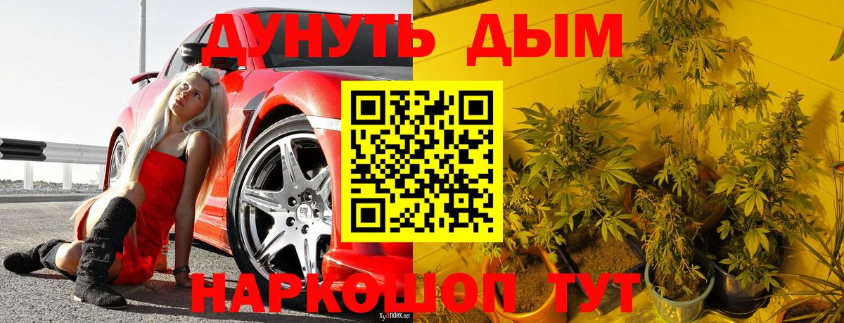 Бошки Шишки гибрид Вязьма